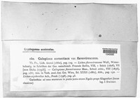 Image Associated With the Occurrence